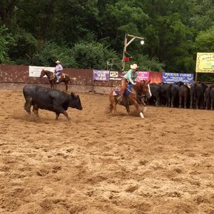 Meet your Posher, Aurora